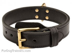 Wide 2-Ply Leather Dog Collar for Great Dane