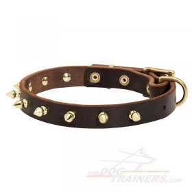 Multipurpose Spiked Leather Collar for Great Dane