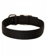 Practical Nylon Great Dane Collar for All Weather Activity