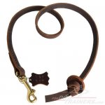 Professional Pocket Leather Dog Training Leash for Great Dane