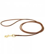 Leather Great Dane Leash for Show Perfotming
