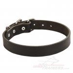 Classic Leather Great Dane Collar 1 1/4 inch (3 cm) width