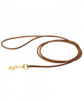 Leather Great Dane Leash for Show Perfotming