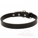 Leather dog collar for Great Dane
