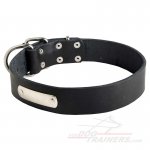 Quality Leather Great Dane Collar with ID Tag