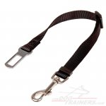 "Conscious Passenger" Nylon Great Dane leash for Car Safety