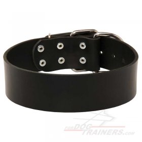Wide Leather Great Dane Collar for Walking and Training