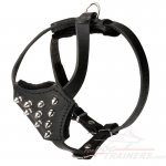 Spiked Leather Great Dane Puppy Harness with Padded Chest Plate