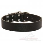 Premium Qaulity 1 1/2 inch Leather Collar for Great Dane