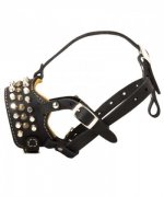 Studded Leather Dog Muzzle for Great Dane