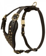 Leather Great Dane Harness with Brass Studs