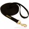 All Weather Nylon Great Dane Leash for Walking