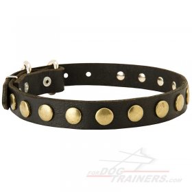 Trendy Leather Great Dane Collar with Circles Decorations