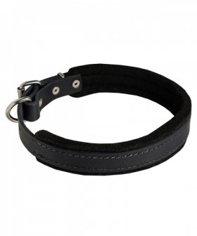Padded Leather dog collar for Great Dane - 1 inch (25 mm) wide