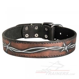 Barbed Wire Painted Leather Great Dane Collar for Walking