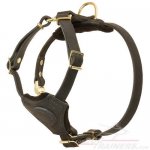 Puppy Size Leather Great Dane Harness