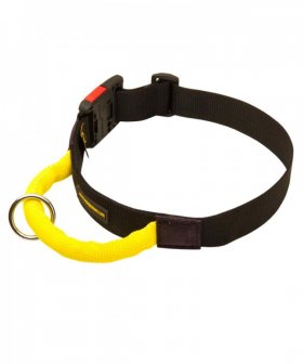 Adjustable Nylon Great Dane Collar for Maximal Control
