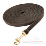 Functional Tracking Leather Great Dane Leash