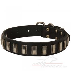 Nickel Plated Leather Great Dane Collar