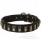 Nickel Plated Leather Great Dane Collar