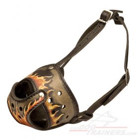 Leather Dog Muzzle for Great Dane