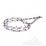 'Apple - Pie Behavior' Stainless Steel Great Dane Pinch Collar with 1/10 inch (3.2 mm) Prong Diameter