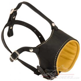 Comfortable Loop-Like Leather Muzzle for Great Dane Daily Use