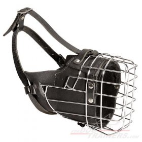 Wire Cage Muzzles