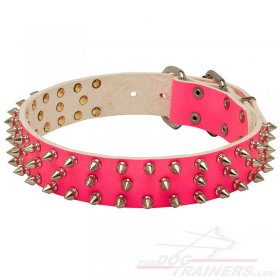Pink/White Collars