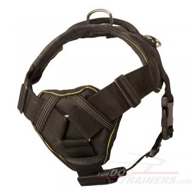 Nylon Harnesses