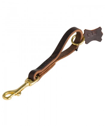 Easy Fast Grab Pull Tab Dog Leash for Great Dane