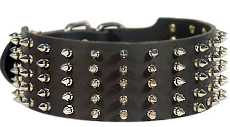 Wide Spiked Leather Collar For Great Dane Handling