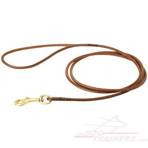 Amazing Show Leather Leash for Great Dane