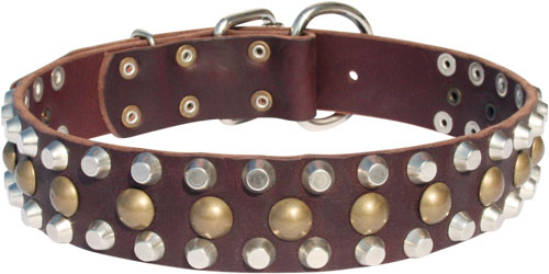 Posh Leather Great Dane Collar with Studs and Pyramids