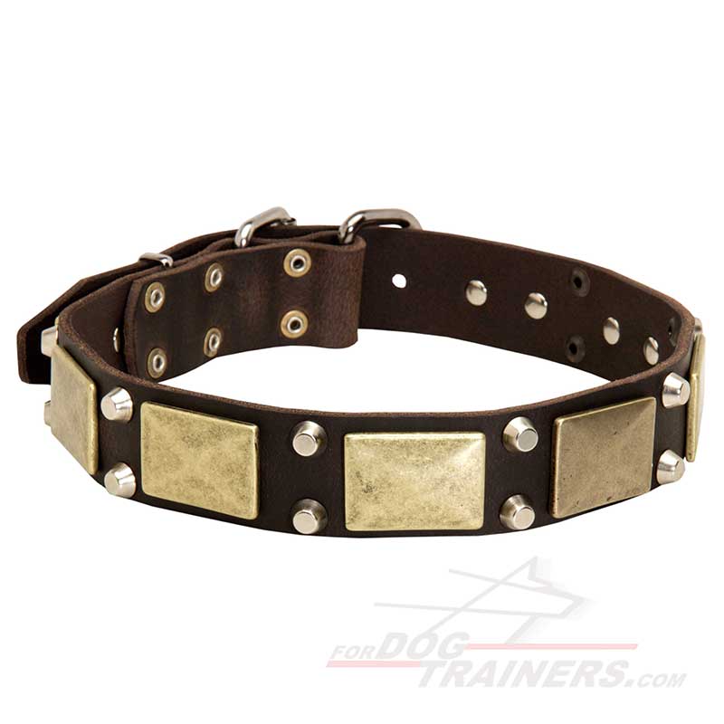 Reliable Leather Great Dane Collar with Brass Plates and Nickel Plated Cones