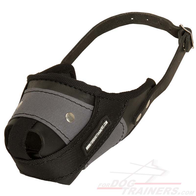 Leather & Nylon Training Dog Muzzle for Great Dane