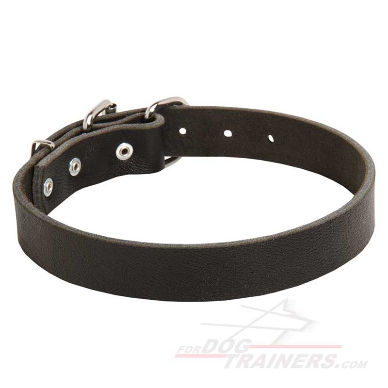 Classic Leather Great Dane Collar 1 1/4 inch (3 cm) width