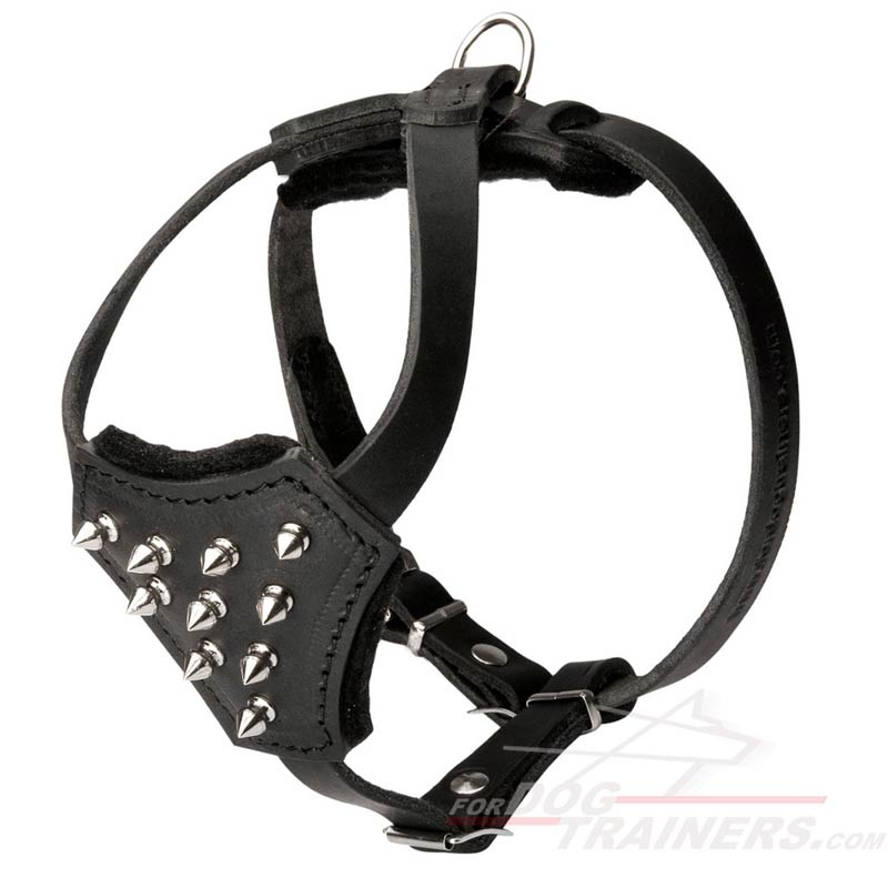 Spiked Leather Great Dane Puppy Harness with Padded Chest Plate