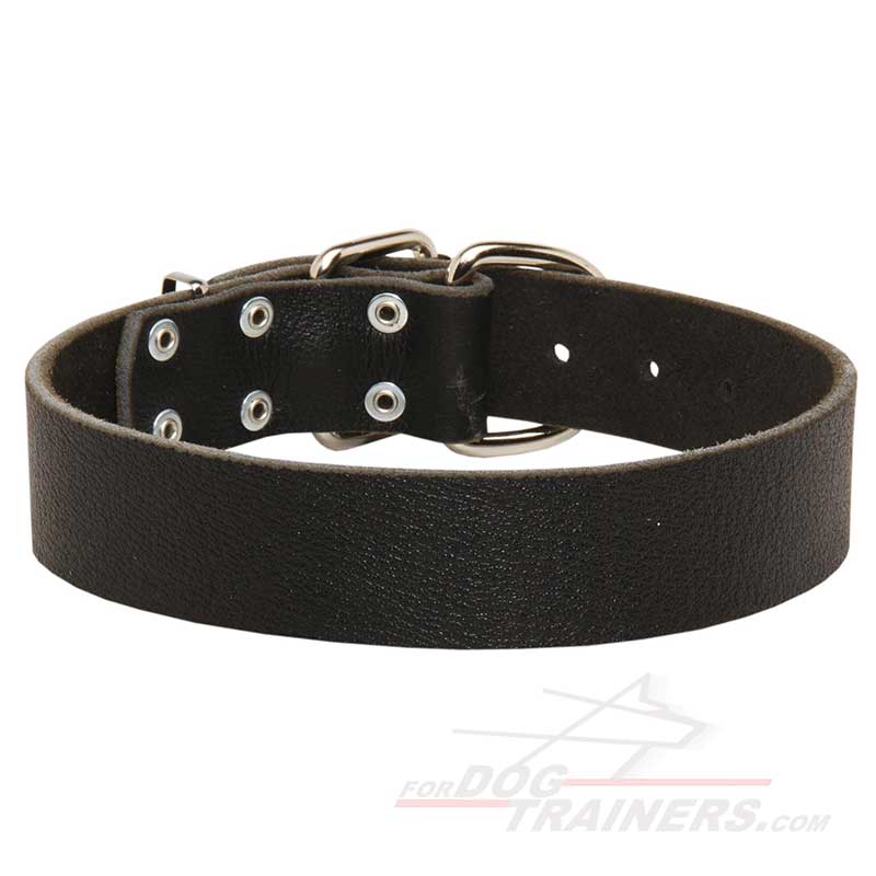 Premium Qaulity 1 1/2 inch Leather Collar for Great Dane