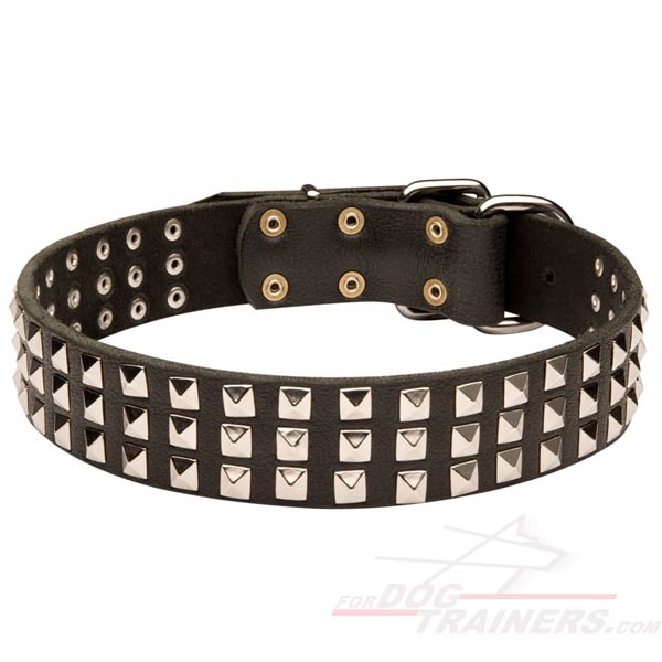 Studded Leather Great Dane Collar of High Quality