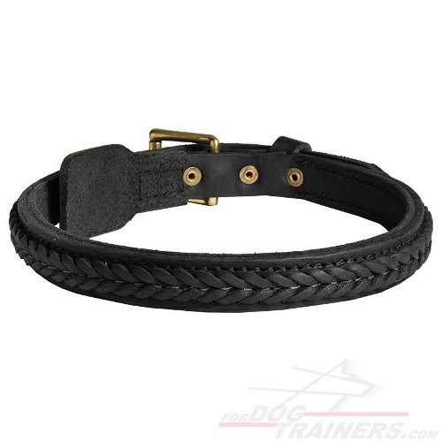 Narrow Leather Great Dane Collar with Handmade Braids