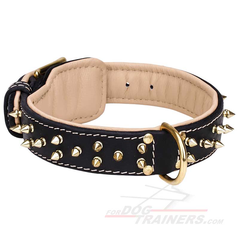 Spiked Leather Great Dane Collar with Nappa Padding