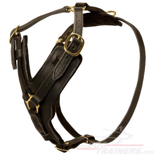 Adjustable Leather Great Dane Harness for Dog Training and Walking
