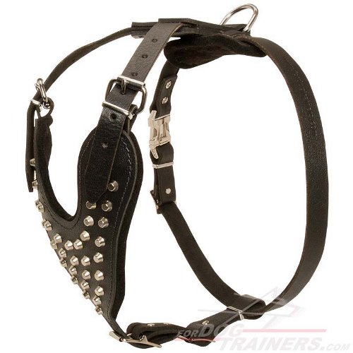 Stylish Leather Great Dane Harness with Nickel Plated Pyramids