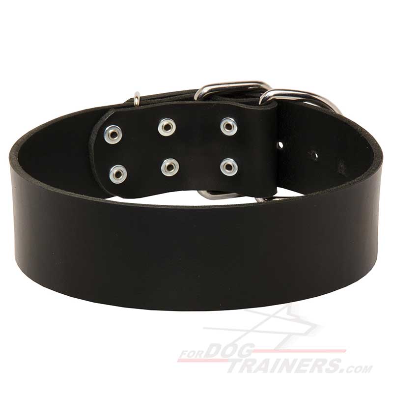 Wide Leather Great Dane Collar for Walking and Training