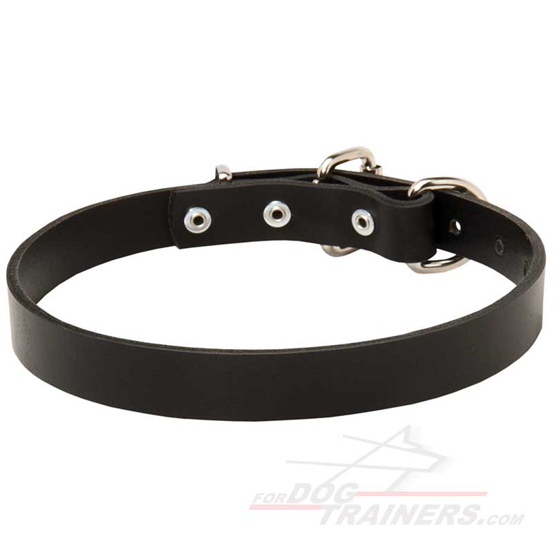 Leather dog collar for Great Dane