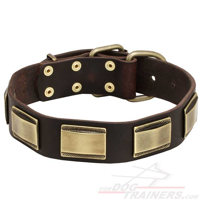 Leather Great Dane Collar with Brass Plates - Click Image to Close
