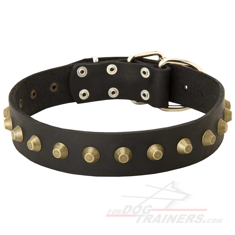 Reliable Leather Great Dane Collar with Brass Studs