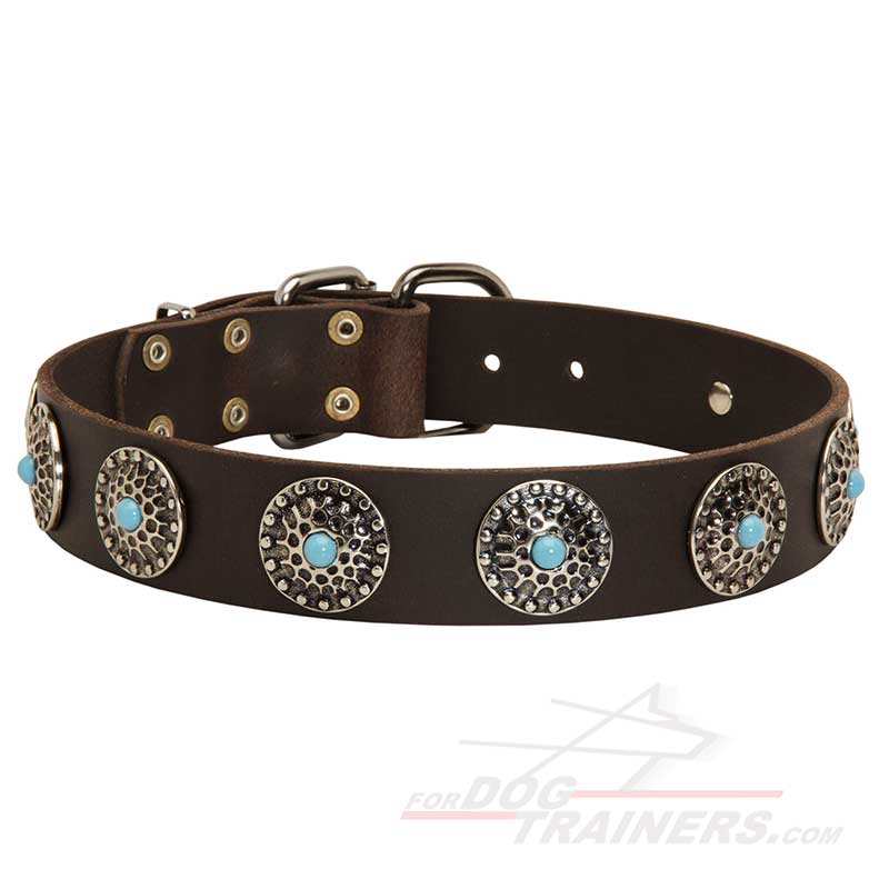 Walking Leather Great Dane Collar with Nickel Circles and Blue Stones