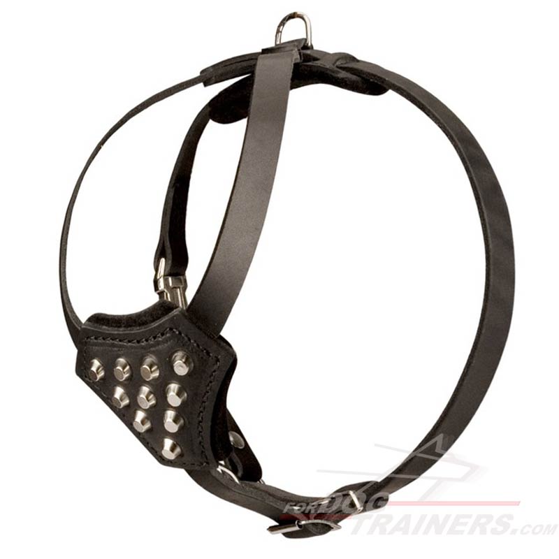 Leather Dog Harness for Great Dane Puppy with Studs